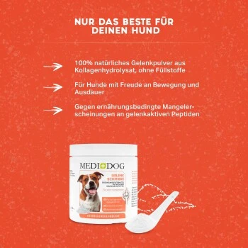 MediDog Gelenkschmiere 3 MediDog Gelenkschmiere – Bild 3