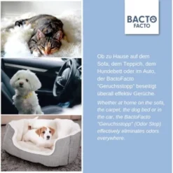 ChronoBalance BactoFacto Probiotischer Geruchsstopp Pads Für 2 Liter 20 Ml -Katzen Hundebedarf Geschäft c27e75fc226c89e592b2af9866887997e79057a8 1397549 de DE 11eaf103bff429178d8c79950fc83faf63345183BU6JEF