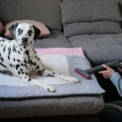 THOMAS AQUA+ Pet & Family -Katzen Hundebedarf Geschäft c3381bf4158feb85ebfd3f3d8bb59ef108b95290 1408595 de DE f1089c65a30ba894d2939997310129f1b316d2cdCtnGOW