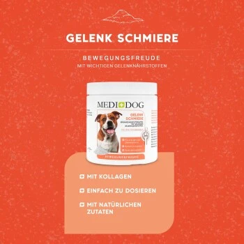 MediDog Gelenkschmiere 2 MediDog Gelenkschmiere – Bild 2