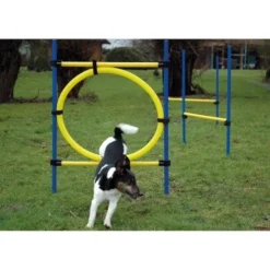 Dobar 3-teiliges Agility Sprung-Set,, Inkl. Tragetasche -Katzen Hundebedarf Geschäft c7c9dd298510f0bd74d586405ecbd396df04c759 313726f2dd166c5ec13855d4374275bbe5eeeeec