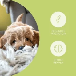 Mammaly Puppy Power 110g 9 Mammaly Puppy Power 110g -Katzen Hundebedarf Geschäft c7cef81181d0b2152b816e59970ecf56019ccf1c 1472892 4