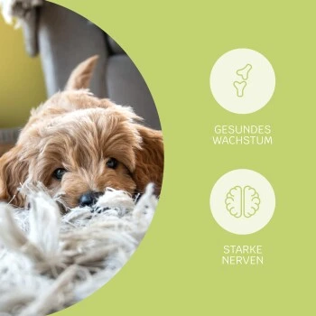 Mammaly Puppy Power 110g 3 Mammaly Puppy Power 110g – Bild 3