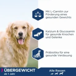 EUKANUBA Daily Care Übergewichtig, Kastriert 12 Kg -Katzen Hundebedarf Geschäft c8d21183e793a2471b19b4a5be57793b5e17df0a 1013172 de DE ask 2