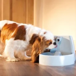 PetSafe Drinkwell Trinkbrunnen Original, 1,5 Liter -Katzen Hundebedarf Geschäft cb67b5accb6fdd9ec3530e007fd4ef1689efc995 0a695b0c941d72c4fef9fa23bc6300c73cab799d