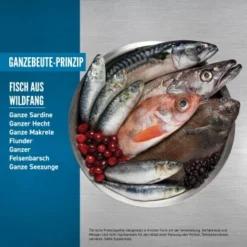 Orijen Six Fish Cat 1,8 Kg 6 Orijen Six Fish Cat 1,8 Kg -Katzen Hundebedarf Geschäft cc8953912198d470b1dbf71dddc3ade2aee258ff 1261001 de DE ORI Six Fish Cat Carousel 2000x2000 DE2 1