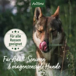 Aniforte Trockenfutter LandChicken - Zartes Huhn Mit Reis 2 Kg -Katzen Hundebedarf Geschäft ccdccba22db20132f6ff6d85dd45b1297bf8942a 1668916 de DE ab8d93a2aba26d4d3d9191665a57d8e6fecc366ahRURHR