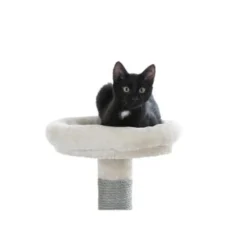 Kerbl Kratzbaum Creative Adventure -Katzen Hundebedarf Geschäft cd831c82afd6be187c9e1aebf4a78e2ebe782c44 ce7c27aa5a680126ca08b882797ce2b921ff7a47