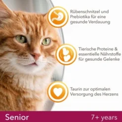 IAMS Vitality Senior Huhn 10kg -Katzen Hundebedarf Geschäft ce3e26a6f175724598fdf6e2b7b6bc8f7fa047c6 d7ce23295bdb5edbb7f4edf686f630cb7b55a5fb