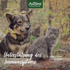 Aniforte Bio Kokosöl 400 Ml -Katzen Hundebedarf Geschäft cf891a21e9b38fc25e7426a3c8c82ead8da582ac 1458838 de DE 889e7afee65c0b82eee0e0cfafb8b4e7cf9d1be4fEkt3D