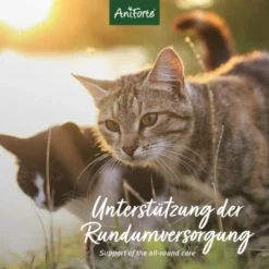 Aniforte 4in1 Complete Cat 60g -Katzen Hundebedarf Geschäft d00d58d4dd954bcc6bc136c811a0f871522744f4 1332844 de DE 2f918ac8487818a9e41eb9d7f6e1d15a88f50ef53eIM10