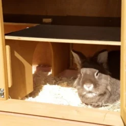 Kerbl Nagerstall Appartement Pro -Katzen Hundebedarf Geschäft d0393ab2c6d0024f1e38155c2064cc1a55cb4c3e aaca8b9b82324f261778e220e8b4c213eb3f4d3d