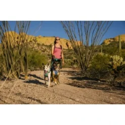 Ruffwear Swamp Cooler™ Geschirr Violett L-XL 21 Ruffwear Swamp Cooler™ Geschirr Violett L-XL -Katzen Hundebedarf Geschäft d0abc349a10811bbd05c0fc614d96cb63a2f0613 1651453 de DE 00efb9f982076af20ddde1a707f7830a11c8e752c0zjBr