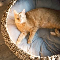 District 70 COCOON Natural M -Katzen Hundebedarf Geschäft d1bca9000c27271741682ed9d9947040fa216679 010fccd4edaf289528235b12a94f95e756b71b5e