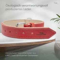 Freudentier Gefüttertes Halsband Aus Leder Rot L -Katzen Hundebedarf Geschäft d409cad84e2e26e5e855246f3d62526ca2fa7cd7 1655241 de DE b688ee419d994f89d4885d7f15c32b5b6f7cc00bZYodZu