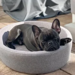 Canadian Cat Company Hunde- & Katzenbett Derby -Katzen Hundebedarf Geschäft d4d8399aebe1ed3e66fc23057fe9bc3b6f9819f1 1412690 de DE 7e35afdccac293ca871653190642a189fd08f495NuJfk3