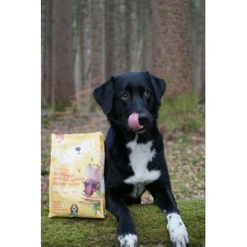 WOW Junior Geflügel Mit Karotte 6 Kg 2 WOW Junior Geflügel Mit Karotte 6 Kg – Bild 2