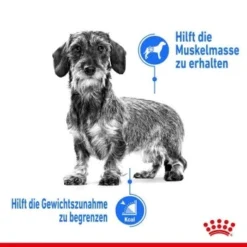ROYAL CANIN Light Weight Care Mini 8 Kg -Katzen Hundebedarf Geschäft d88c697ba06de27a17345fad7a39366f1a3a0396 c5b3b0d6c42868fa4150a32ae1163d6c1c3ff29b