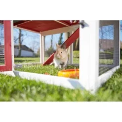 AniOne Kleintierstall Woody Ranch -Katzen Hundebedarf Geschäft db28ed601cc7e596f155015c17f7fdf71fd47419 1351785 de DE AniOne.10