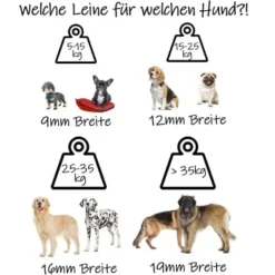 Bio-leine Ab 35 Kg Biothane Schleppleine Türkis 3 M 7 Bio-leine Ab 35 Kg Biothane Schleppleine Türkis 3 M -Katzen Hundebedarf Geschäft dd5aeefa64c0e68f95b090cf142edb4ba733cd02 1486998 de DE 9e86c715e549a5f350fc133f6a3d246a11c429bevn0Oee