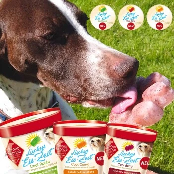 ChronoBalance Hundeeis Zum Selbermachen 3 X Cool Berry + Form Beeren 2 ChronoBalance Hundeeis Zum Selbermachen 3 X Cool Berry + Form Beeren – Bild 2