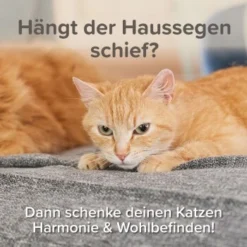 Beaphar CatComfort Excellence Nachfüll-Flakon Für Verdampfer -Katzen Hundebedarf Geschäft dff4c857f272af0146855ba8692927c3d9b20938 1416647 1 4