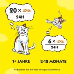 Dreamies Snack-Vielfalt 12x60g -Katzen Hundebedarf Geschäft e1b190f4f53100ff83c0fb6481ba747fb1f78bad 1297459 2