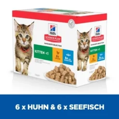 Hill's Science Plan Kitten Multipack Mit Huhn Und Seefisch 12x85 G 12 Hill's Science Plan Kitten Multipack Mit Huhn Und Seefisch 12x85 G -Katzen Hundebedarf Geschäft e35e003d7953d268e4d7faa01f4ebc88bd9f0d6b 52742211503 3