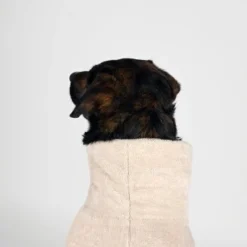 THE DOG IDEA Bademantel Every Beige XXXS -Katzen Hundebedarf Geschäft e422295baa6d89098b73cfe7547469e3ab0cb664 1472946 de DE 76009bd0b32ce079af8898f7d053c6d584d97a8eoIz5zb