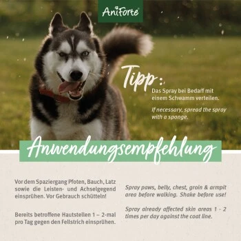 Aniforte Grasmilben-EX Spray Für Hunde 250ml 2 Aniforte Grasmilben-EX Spray Für Hunde 250ml – Bild 2