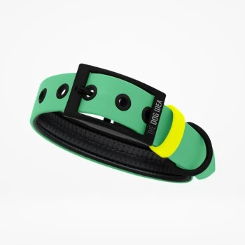 THE DOG IDEA Biothane Halsband Mint Mint S 1 THE DOG IDEA Biothane Halsband Mint Mint S