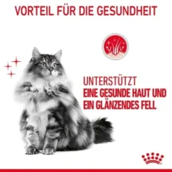 ROYAL CANIN Hair & Skin Care 2 Kg -Katzen Hundebedarf Geschäft e72e5a130ddb229ae62e4146a3b2cfdcf7f8fd19 1003122007 4