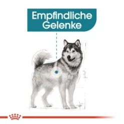 ROYAL CANIN Maxi Joint Care 10 Kg -Katzen Hundebedarf Geschäft e748880de14991fb632a51a495c563812e60a2a1 f0758faf2eb51624bd07aac359517b476d2f3242