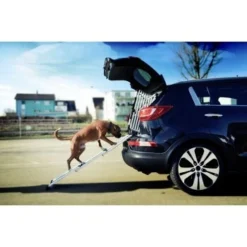 4pets Rampe EasySteps -Katzen Hundebedarf Geschäft e900a968d8a04ba612530fdd36c5aa69f2fcdb42 13c5bbebb6d2cdec433b668e9fb0bd46dd6f4298