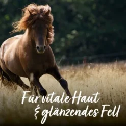 Aniforte Bierhefe Pulver 250 G -Katzen Hundebedarf Geschäft e90f799f42291bc99923416c38244a01fcbd0b4c 1665877 de DE 065f59ee75fc3ae72a0315edf84d964644e562bc3Nrs7r