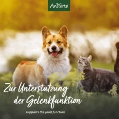 Aniforte Teufelskralle Pulver 250 G -Katzen Hundebedarf Geschäft e9351050b84138eaef6c8eb09f514e5347c0891d 1337239 de DE 4fa78eace5893a9a78ec281ec82f9a13ade2559cF769nX