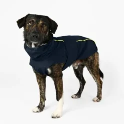 THE DOG IDEA Regenmantel Duke Navy XXXS -Katzen Hundebedarf Geschäft ea00da11be84052a9bd95ce1f2727678ed1be4f4 1473009 de DE ac44302b2919bae198c186891f7199cadbe8fe207lh60I