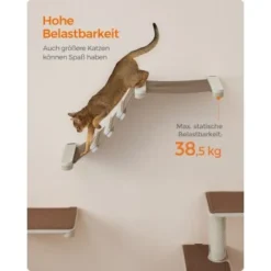 FEANDREA Clickat Katzenmöbel 2er Set, Kletterwand -Katzen Hundebedarf Geschäft ea7e627724db534c6e0464771932a5ea554c0b07 1681501 de DE 69b299a2a0b5f1d93e61abe664375afb5e8ca6e9R2CgKk