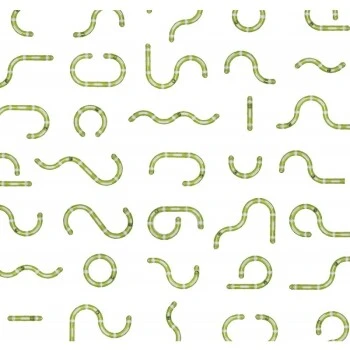 Catit Senses 2.0 Spielschiene SUPER 2 Catit Senses 2.0 Spielschiene SUPER – Bild 2