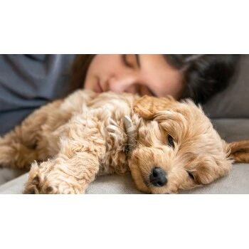 Mammaly Puppy Power 110g 7 Mammaly Puppy Power 110g – Bild 7