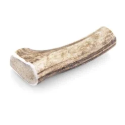 Larsson Geweih L Ca. 120-160g 7 Larsson Geweih L Ca. 120-160g -Katzen Hundebedarf Geschäft eedd964b32fc746dd3f4ed471e3e2cab3755f705 1057933 de DE 97deed0735eed1582eb8fafdcd8c54066b467cfdFxGa39