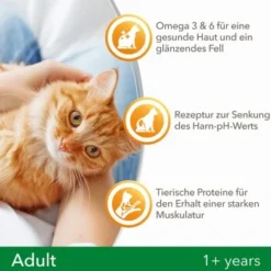 IAMS Vitality Adult Huhn 3 Kg -Katzen Hundebedarf Geschäft f239d7ef57a6054553948e62d3d5feb16002578a 8361bd6d370c2f798bd71fa3242ca269884546de