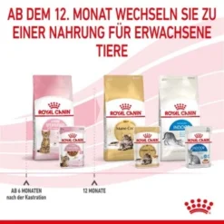 ROYAL CANIN KITTEN STERILISED In Soße 12 X 85g -Katzen Hundebedarf Geschäft f24914890e93bb258bba02c00adf6300f771d67b 1298264 de DE Kittenster 8