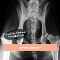 BeG Buddy Gelenk Fit Tabletten -Katzen Hundebedarf Geschäft f4b9d51f2e78d12f2ca2a2fe6ae9f754ebede26e 1457251 de DE d18aefeba3109b170fc6ce5df4353512cf27c799DQ6Cd3