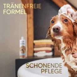 Pawlie's Welpenshampoo -Katzen Hundebedarf Geschäft f56801adb1bee6d0b5fdd328d641fa773ce5d4c4 1626204 de DE 7b87b87a2e48e8c0e12b98c918c4d75b538aae40E5TfEc