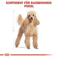 ROYAL CANIN Poodle Adult In Soße 12x85g -Katzen Hundebedarf Geschäft fb86c0620865f030df6bf40428c3486f929a93cf 88b6bb860653cd13cab44fad51b4b8db62a7114c
