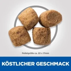 Hill's Science Plan Oral Care Adult Mit Huhn 12 Kg -Katzen Hundebedarf Geschäft fbadf42c5b16178a5fd521524140a13261fe80e4 52742025537 6