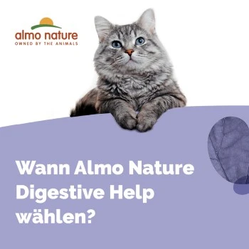 Almo Nature Almo Holistic Digestive Help 30x70g Mit Fisch 4 Almo Nature Almo Holistic Digestive Help 30x70g Mit Fisch – Bild 4