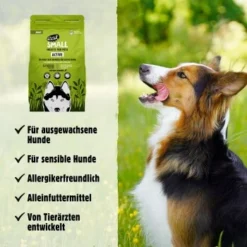 Eat Small EatSmall 2kg Active Trockenfutter -Katzen Hundebedarf Geschäft fe62785e5597c5cdeada1a23a738a8b664d0d455 1397963 de DE 045556f8e417da90be61f538db133a32cf0ddbabo1aoWO