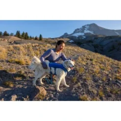 Ruffwear Trail Runner™ Weste Blau XS -Katzen Hundebedarf Geschäft fe9a07e8da387504b2215a58c73311668656feaa 1639640 de DE 7e91d54f53a97c1cbc2709f9a67c912d45a39cffx1uy8o